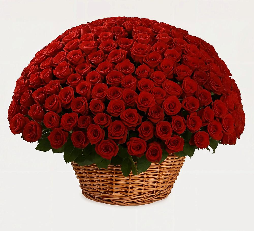 Премиум букет из: Розы в Моргауши