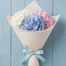 Букет цветов из:  Гортензия в Моргауши