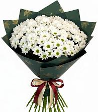 Букет цветов из:  Хризантемы в Моргауши