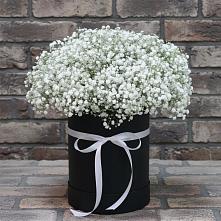 Цветочная композиция из Гипсофила в шляпной коробке в Моргауши